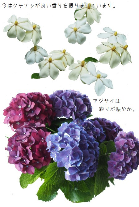 クチナシアジサイ花束と-450-2T.jpg