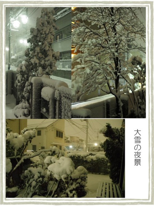 夜の雪-500T.jpg