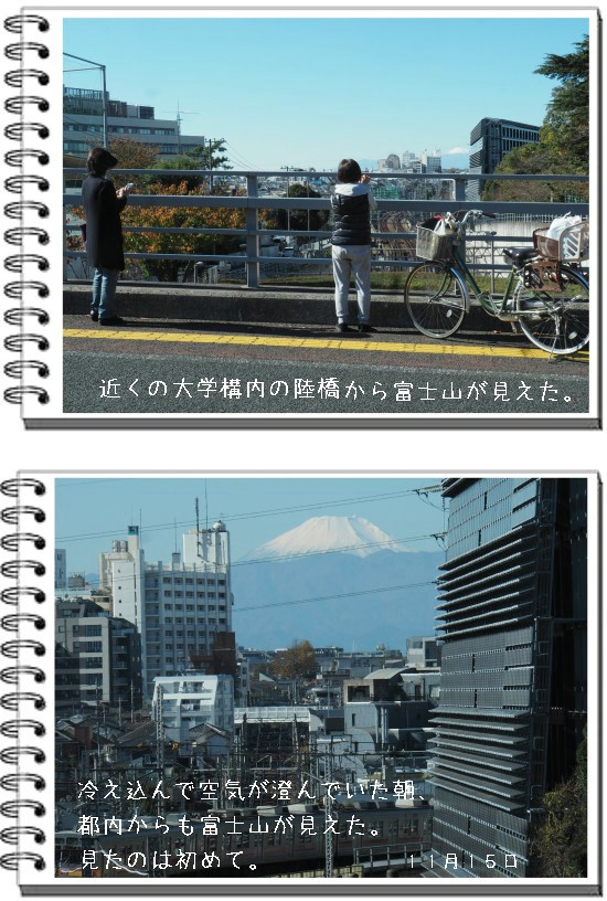 富士の山-550-8T.jpg
